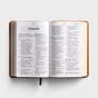 NLT - DaySpring Signature Collection - Personal Size Giant Print Bible - Tan LeatherLike - Filament Enabled