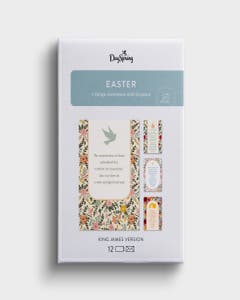 Easter - Sunrise of God's Grace - 12 Boxed Cards and Envelopes, KJV