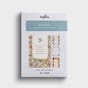 Easter - Sunrise of God's Grace - 12 Boxed Cards and Envelopes, KJV