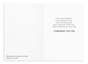 Graduation - Big Dreams & Bright Futures - 12 Boxed Cards and Envelopes