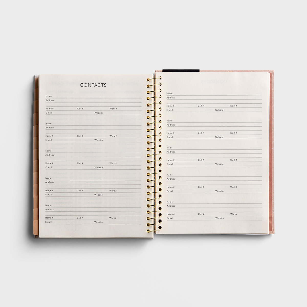 Katygirl - The Lord God Is Our Sun + Our Shield - Undated 12mo Monthly/Weekly Planner