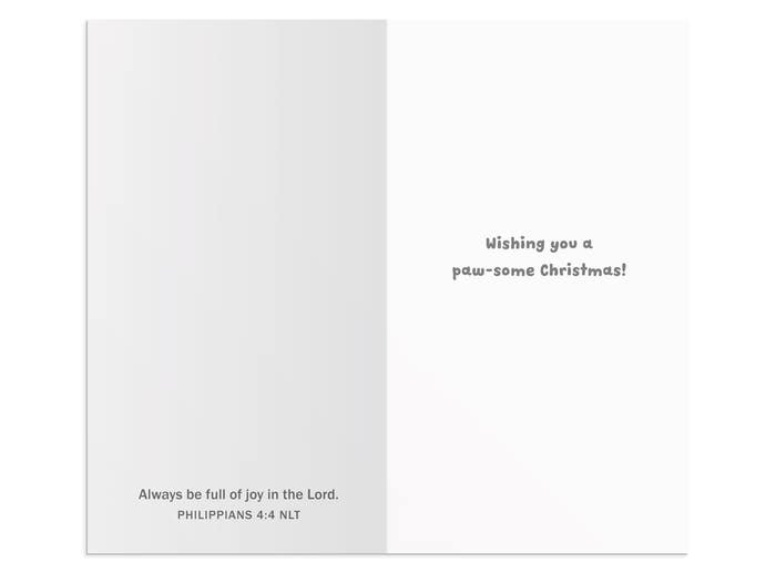 Little Inspirations - Paw-Some Christmas - 16 Christmas Boxed Cards and Envelopes