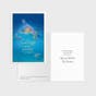 Value Box - 48 Assorted Christmas Boxed Cards - Religious Scenes