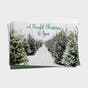 Peaceful Christmas to You - 18 Christmas Boxed Cards and Envelopes, KJV