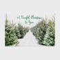 Peaceful Christmas to You - 18 Christmas Boxed Cards and Envelopes, KJV