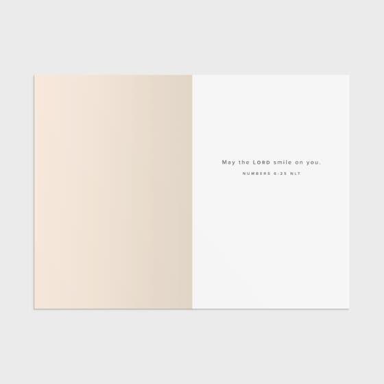 Noteworthy - Birthday - So Glad You Were Born - 3 Greeting Cards