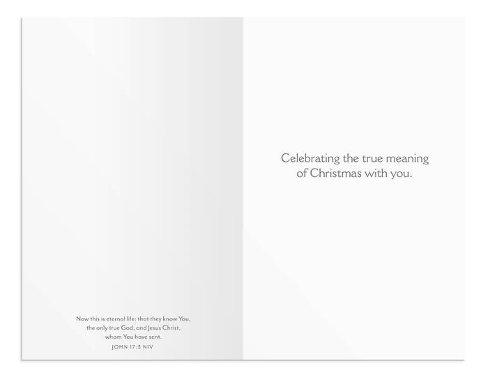 The Only Thing That Matters is Jesus - 50 Christmas Boxed Cards