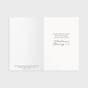 The Christmas Story - 60 Assorted Christmas Boxed Cards and Envelopes