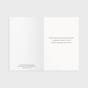 The Christmas Story - 60 Assorted Christmas Boxed Cards and Envelopes