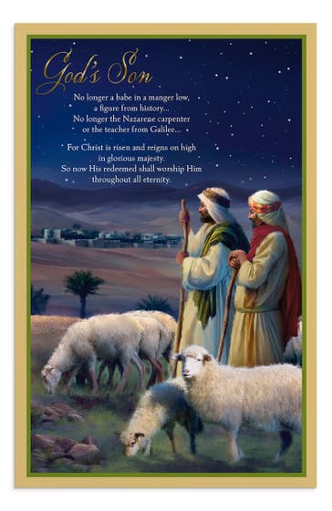 The Christmas Story - 60 Assorted Christmas Boxed Cards
