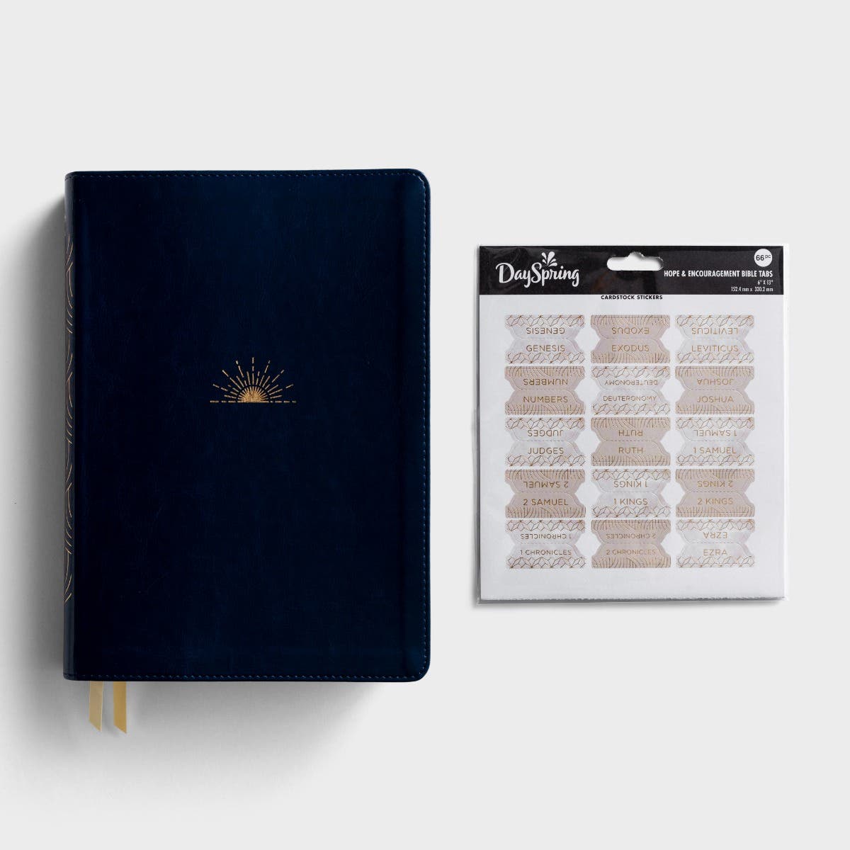 Hope & Encouragement - Bible and Bible Tabs - Gift Set