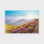 Sympathy - Nature Landscapes - 12 Boxed Cards and Envelopes