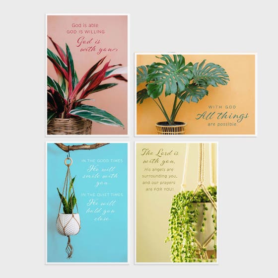 Encouragement - Simple Plants - 12 Boxed Cards