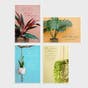 Encouragement - Simple Plants - 12 Boxed Cards and Envelopes, KJV