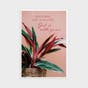 Encouragement - Simple Plants - 12 Boxed Cards and Envelopes, KJV