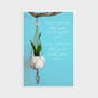 Encouragement - Simple Plants - 12 Boxed Cards and Envelopes, KJV