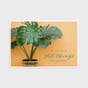 Encouragement - Simple Plants - 12 Boxed Cards and Envelopes, KJV