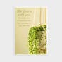 Encouragement - Simple Plants - 12 Boxed Cards and Envelopes, KJV