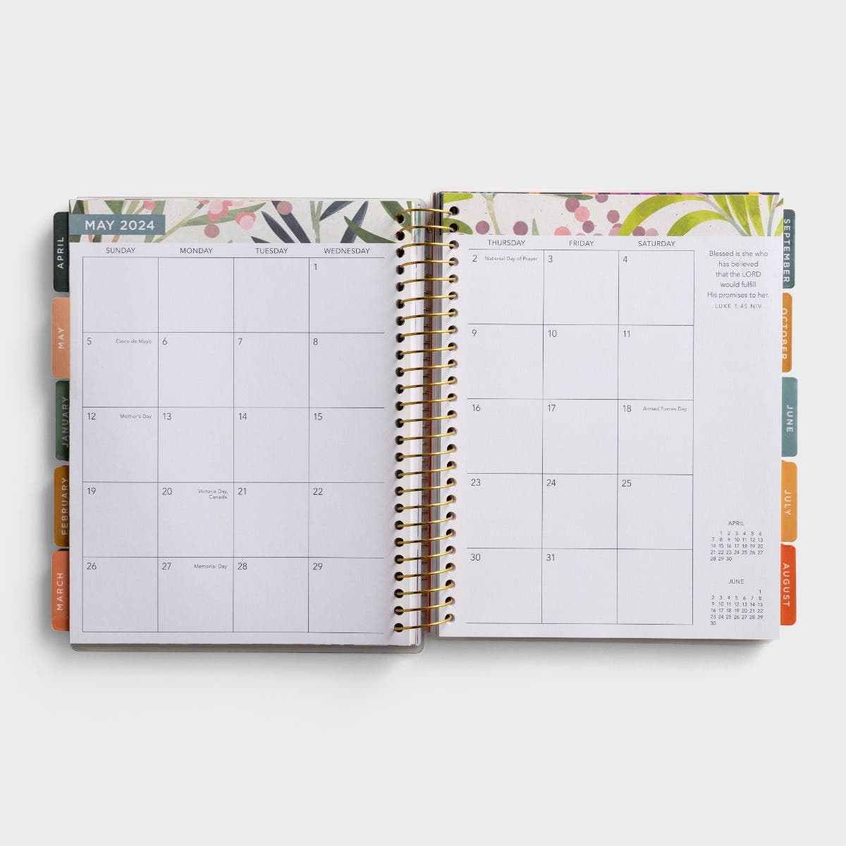 Loved Beyond Measure - Floral Agenda Planner - DaySpring | DaySpring