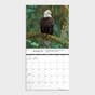 On Eagles Wings: 2024 Wall Calendar Featuring Scripture from the King James Bible