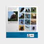 On Eagles Wings: 2024 Wall Calendar Featuring Scripture from the King James Bible