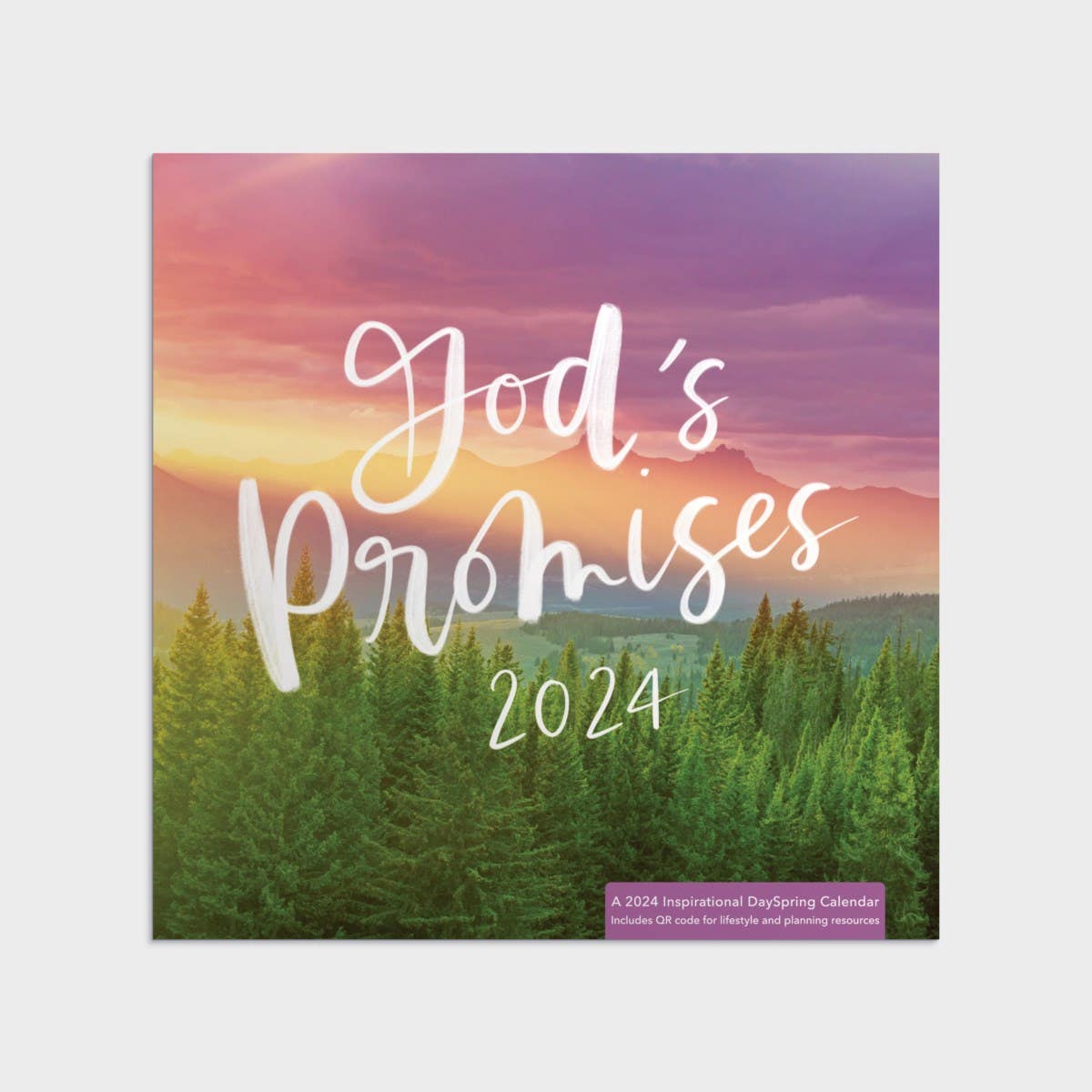 God's Promises 2024 Wall Calendar