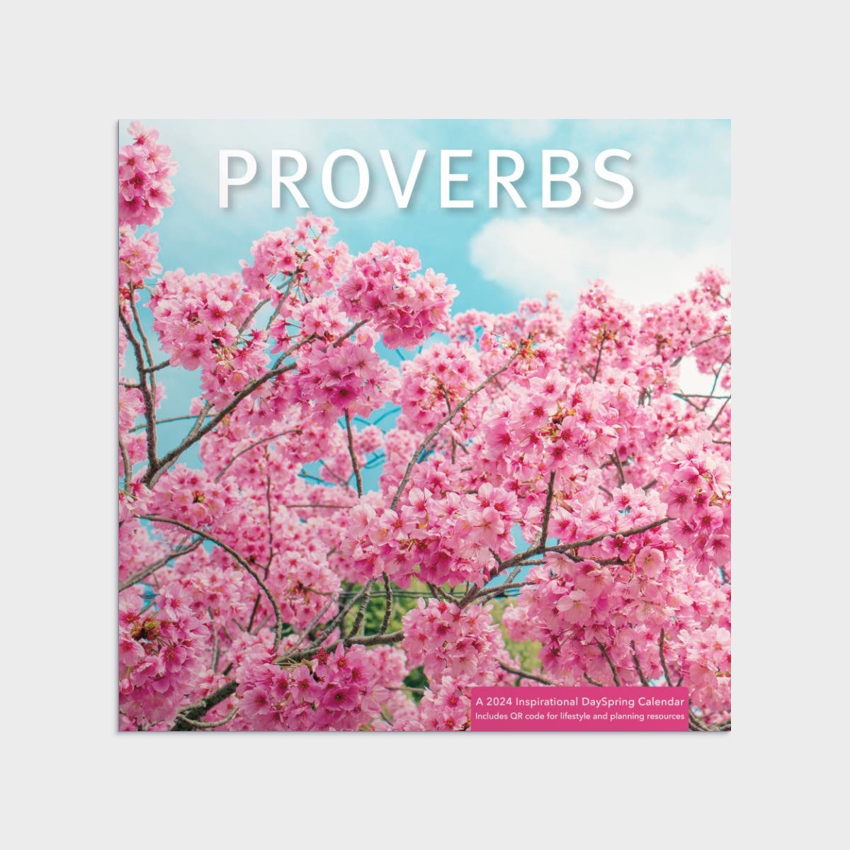 Proverbs 2024 Wall Calendar