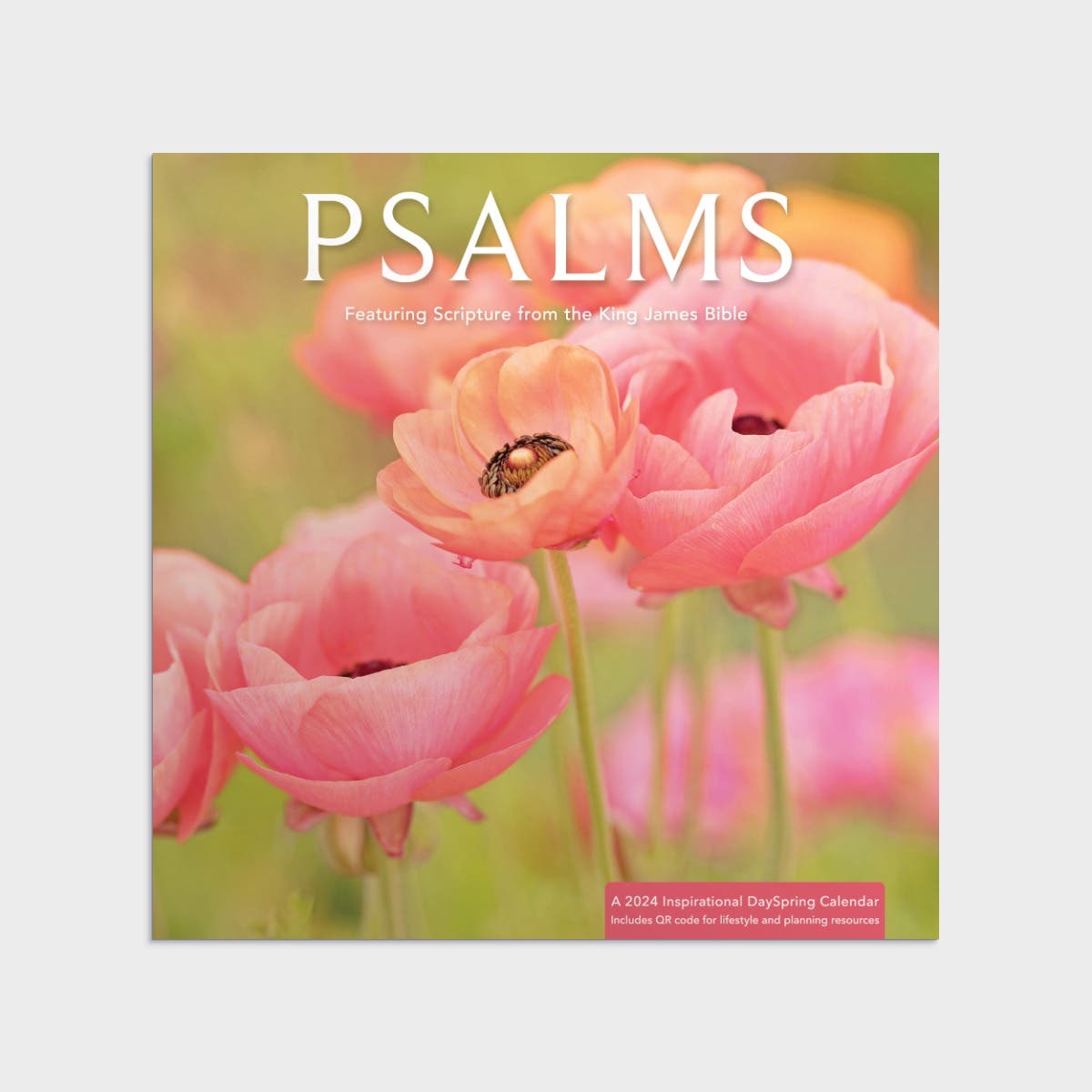 Psalms Pink Poppies 2024 Wall Calendar