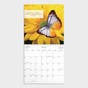 Psalms Pink Poppies 2024 Wall Calendar