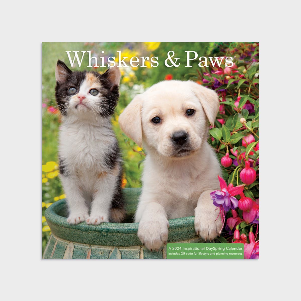 Whisker & Paws 2024 Wall Calendar