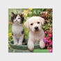 Whisker & Paws 2024 Wall Calendar
