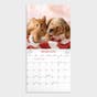 Whisker & Paws 2024 Wall Calendar