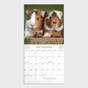 Whisker & Paws 2024 Wall Calendar