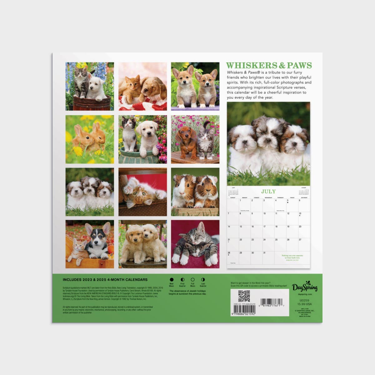 Whisker & Paws 2024 Wall Calendar Calendars DaySpring