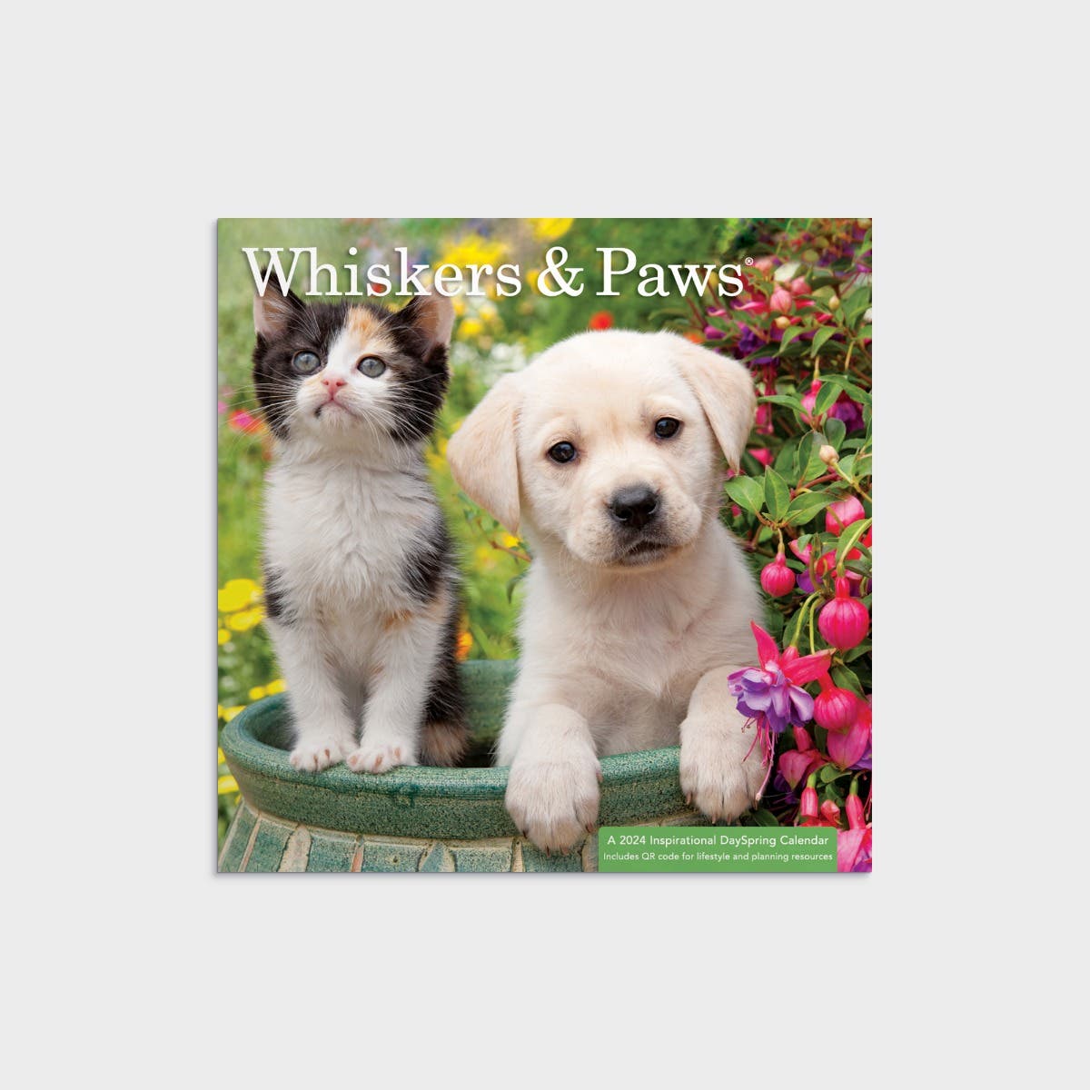 Whisker & Paws Mini 2024 Wall Calendar