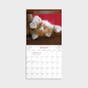 Whisker & Paws Mini 2024 Wall Calendar