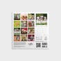 Whisker & Paws Mini 2024 Wall Calendar