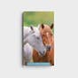 Horses 2024 – 2025 Pocket Calendar