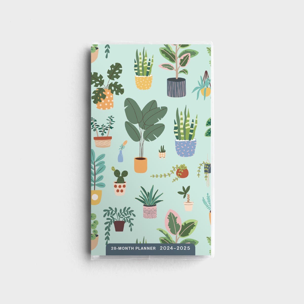 Succulent Love 28-Month 2024-25 Planner