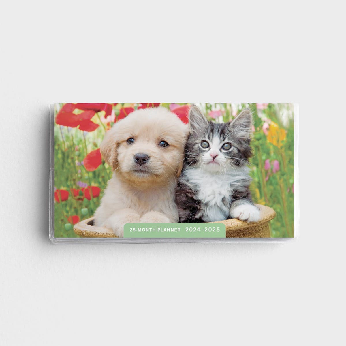 Whisker & Paws 28-Month 2024 Planner