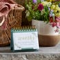Brittney Moses - Worthy: 366 Mindful Moments to Bring Peace & Clarity to Your Day - Perpetual Calendar