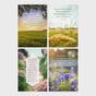 Roy Lessin - Get Well - Landscapes - 12 Boxed Cards and Envelopes, KJV