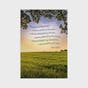 Roy Lessin - Get Well - Landscapes - 12 Boxed Cards and Envelopes, KJV