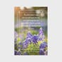 Roy Lessin - Get Well - Landscapes - 12 Boxed Cards and Envelopes, KJV