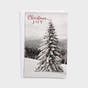 Black and White Christmas Classics - 60 Bulk Christmas Boxed Cards and Envelopes