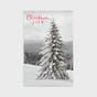 Black and White Christmas Classics - 60 Bulk Christmas Boxed Cards and Envelopes