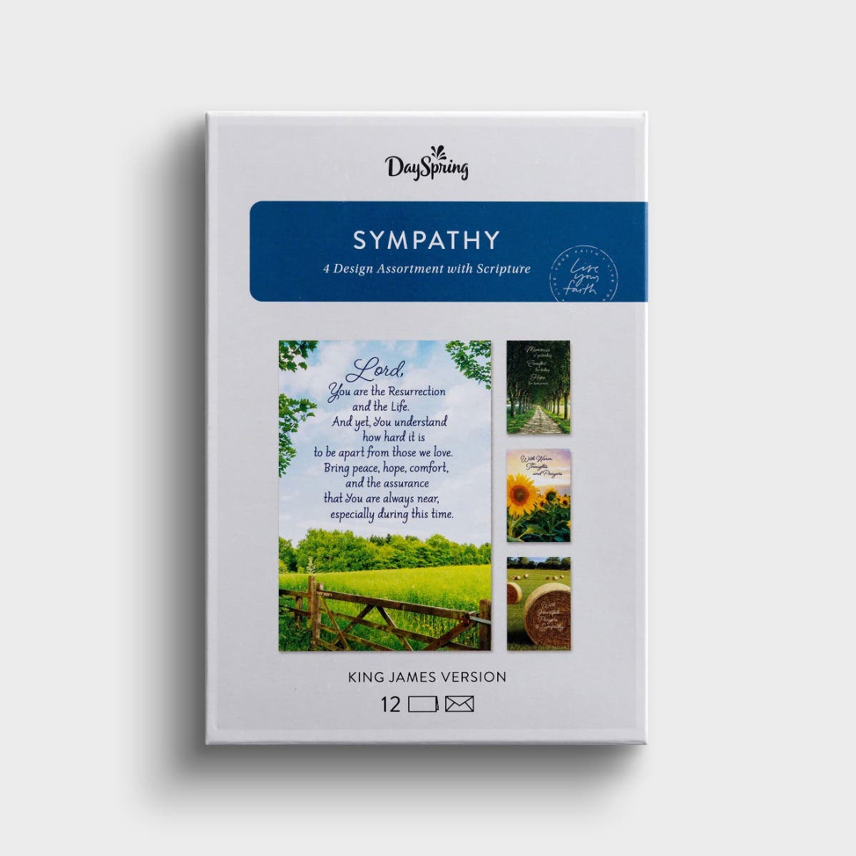 Sympathy - Fields of Comfort - 12 Count Boxed Cards and Envelopes, KJV