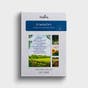 Sympathy - Fields of Comfort - 12 Count Boxed Cards and Envelopes, KJV