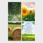 Sympathy - Fields of Comfort - 12 Count Boxed Cards and Envelopes, KJV