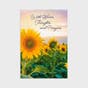 Sympathy - Fields of Comfort - 12 Count Boxed Cards and Envelopes, KJV